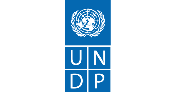 UNDP FI